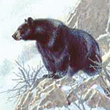 wildlife art