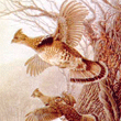 wildlife art