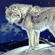 wildlife art