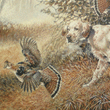 wildlife art
