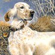wildlife art