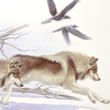 wildlife art